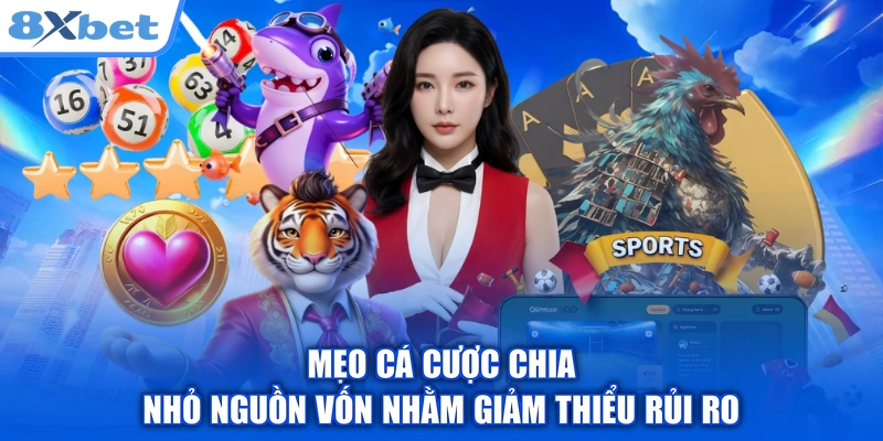 Mẹo cá cược chia nhỏ nguồn vốn nhằm giảm thiểu rủi ro